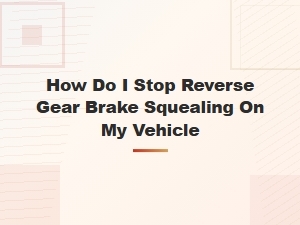 Halting Reverse Gear Brake Squeal