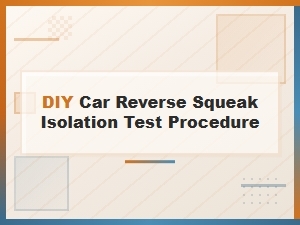 Diagnosing a Car's Reverse Squeak: an Isolation Test Procedure